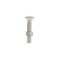 3/8" x 2" Carriage Bolts & Nuts