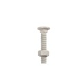 3/8" x 2" Carriage Bolts & Nuts