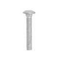 5/16" x 2" Carriage Bolts & Nuts