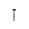 Elite #8 x 1" Stainless Steel Self Drill Screws For Aluminum Fence (Black)