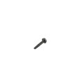 Jerith #10 x 1" Stainless Steel Screw For Aluminum Fence (Black)