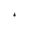 Jerith #10 x 1" Stainless Steel Screw For Aluminum Fence (Black)