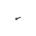 Jerith #10 x 1" Stainless Steel Screw For Aluminum Fence (Black)