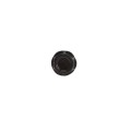 #10 x 3/4" Ornamental Steel Self Drilling Screw For Aluminum Fence (Black) (Default)