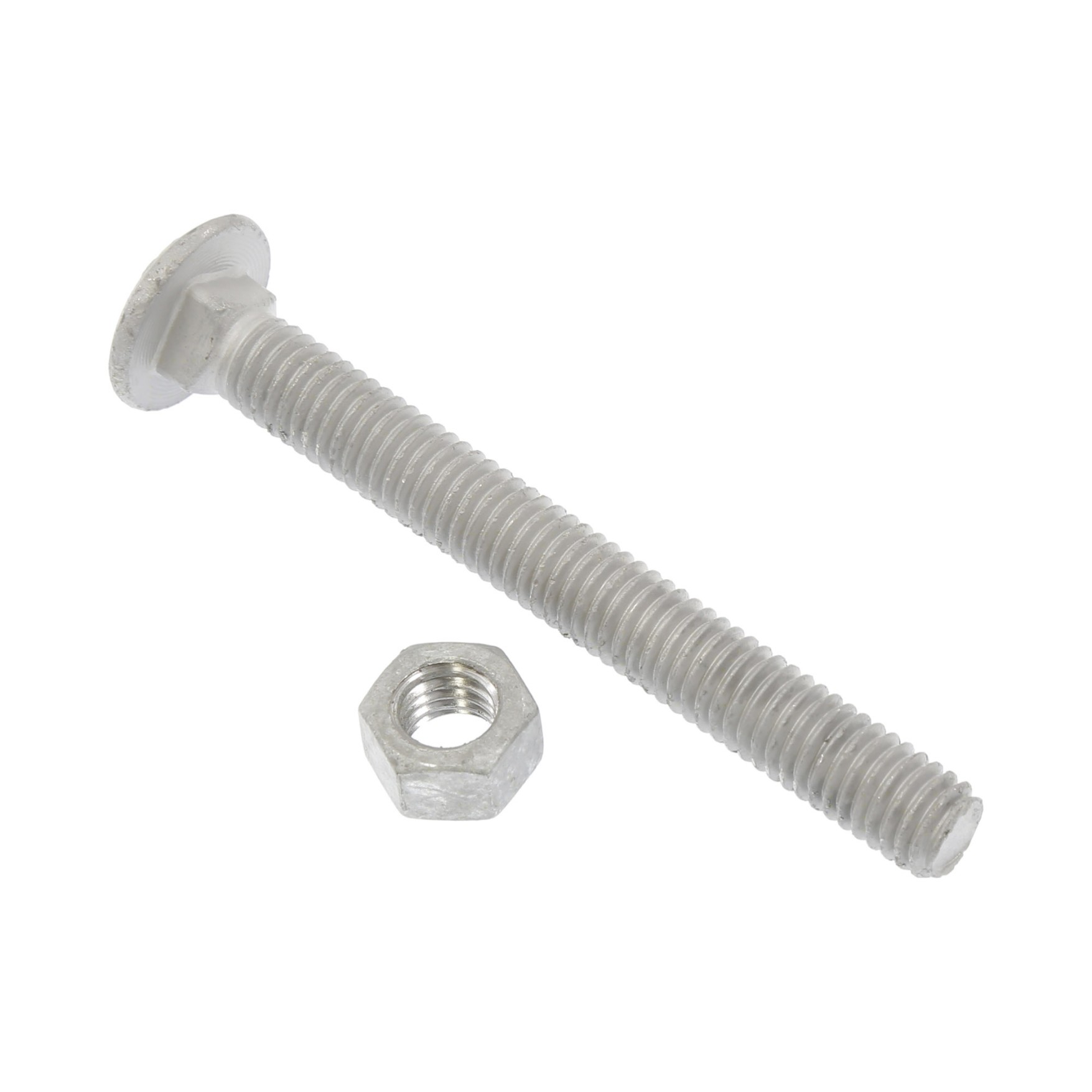 Carriage Bolt